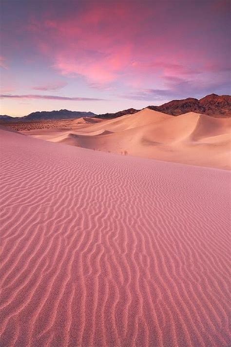 Pink desert - Coral Pink Sand Dunes includes 1,200 acres of play area for off-highway vehicles (OHV). Off-highway vehicles are permitted on the dunes, but strict regulations apply. ... The sandstone at Arches National Park has provided the palette for sensational desert vistas and arches, making this park unique. Nature has used wind, rain and ice to carve ...